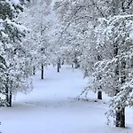 10-Acre Forest Villa, 20 Miles From Yosemite South