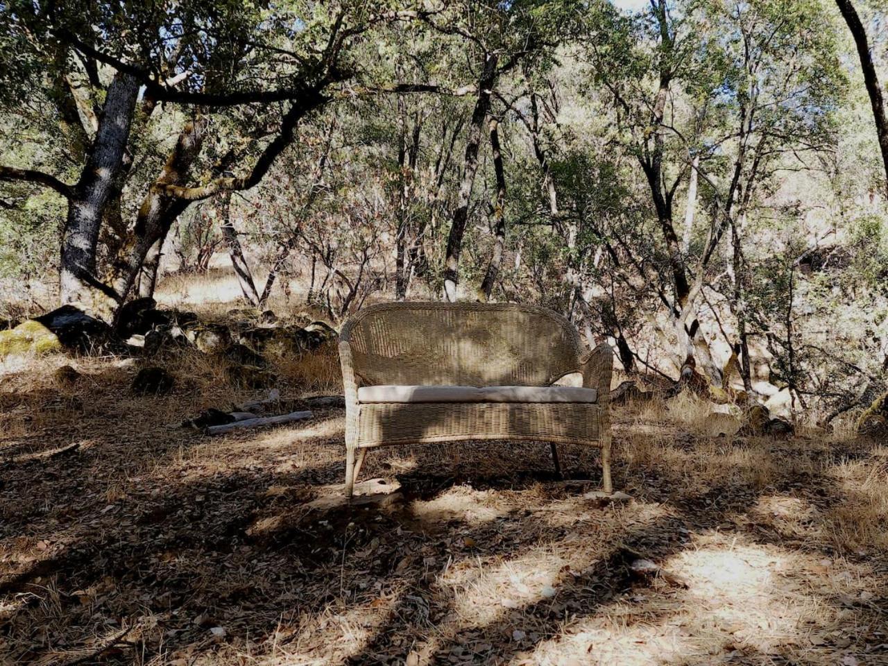 Villa 10-acre Forest Villa, 20 Miles From Yosemite South