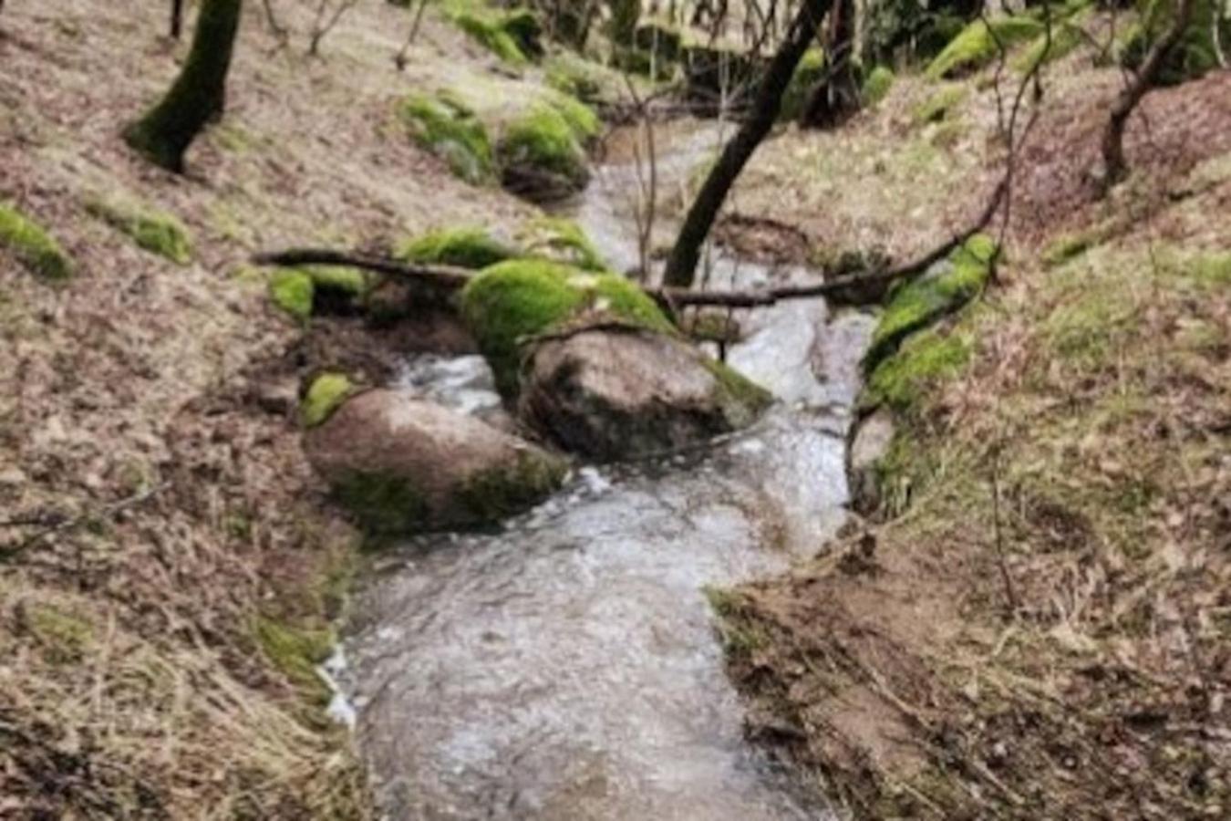 10-acre Forest Villa, 20 Miles From Yosemite South Villa *